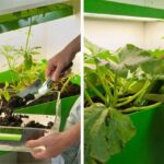 Indoor-Farm-and-Compost-by-Ferber-and-Dieckmann-7