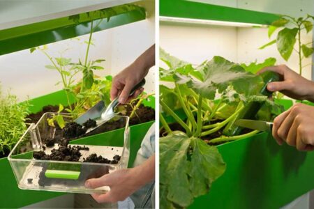 Indoor-Farm-and-Compost-by-Ferber-and-Dieckmann-7