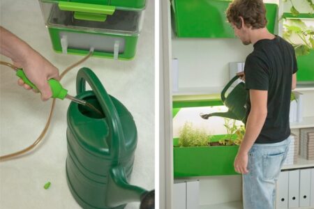 Indoor Garden and Compost 2