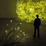 Photosynthetic Rememberance 1