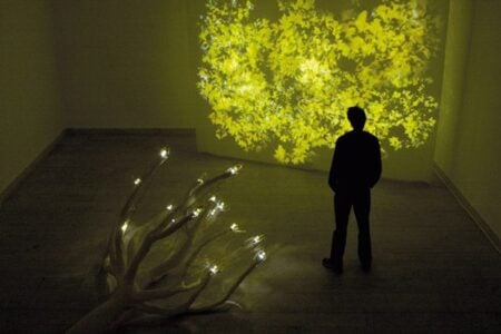 Photosynthetic Rememberance 1