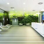 Oficias de Microsoft en Viena | microsoft viena1