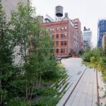 High_Line_chelsea_thicket