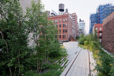 High_Line_chelsea_thicket