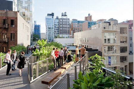 High_Line_falcone_flyover_2