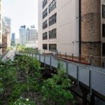 High_Line_falcone_flyover_3