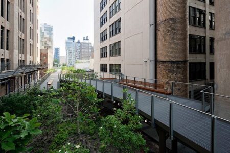 High_Line_falcone_flyover_3