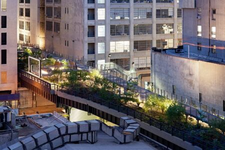 High_Line_falcone_flyover_4