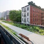 High_Line_wildflower_field_1