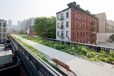 High_Line_wildflower_field_1