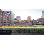 High_Line_wildflower_field_2