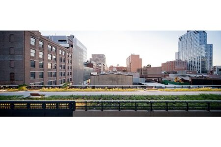 High_Line_wildflower_field_2