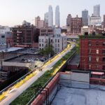 High_Line_wildflower_field_3