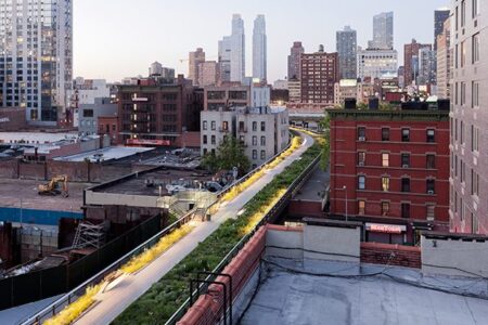 High_Line_wildflower_field_3