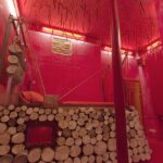 Propeller Island_room2