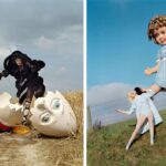 tim-walker-story-teller-somerset-house-london-room-2