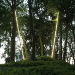 Among the Trees | among the trees