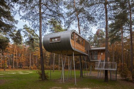 Treehouse_T_03+