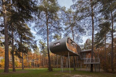 Treehouse_T_05+