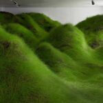 Not red but Green. Per Kristian Nygård. Galería NoPlace. Oslo. | not_red_but_green per kristian nygard6