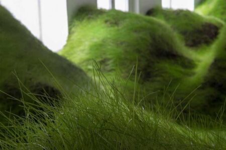 Not red but Green. Per Kristian Nygård. Galería NoPlace. Oslo. | not_red_but_green per kristian nygard8