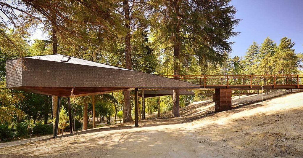 slide-tree-snake-houses2