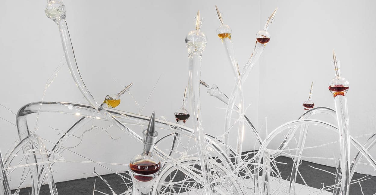 Jardin_d_addiction_Bedraguer_Pejus_mudac_Julien_Gremaud_AP