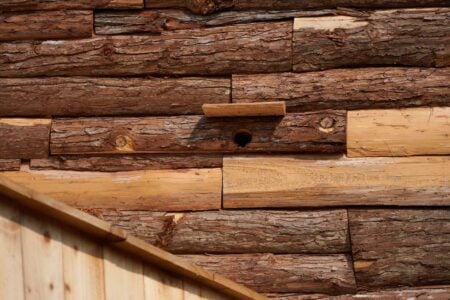 Boolean Birdhouse. Phoebe Sayswow | boolean_birdhouse roomdiseno12