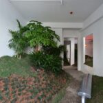 Devolution Park. Un parque interior. Devolution y SeeekLab | devolution_park roomdiseno6