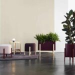Ashi. Emiliana design studio | ashi emiliana design studio