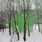 Filippo Minelli. Fotografía, escenografía y esculturas de humo | filippo_minelli silence_shapes roomdiseno11