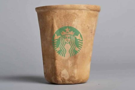 HyO-cup. Vasos biodegradables de calabaza. Crème Design | hyo_cup roomdiseno