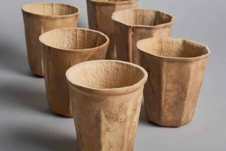 HyO-cup. Vasos biodegradables de calabaza. Crème Design | hyo_cup roomdiseno2