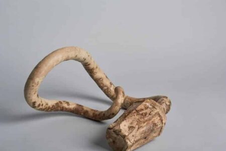 HyO-cup. Vasos biodegradables de calabaza. Crème Design | hyo_cup roomdiseno4