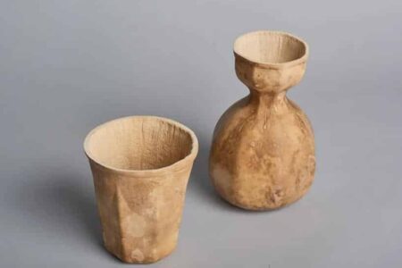 HyO-cup. Vasos biodegradables de calabaza. Crème Design | hyo_cup roomdiseno6