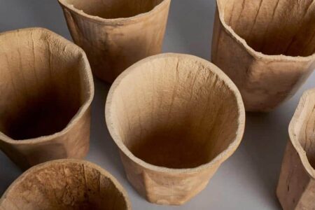 HyO-cup. Vasos biodegradables de calabaza. Crème Design | hyo_cup roomdiseno9