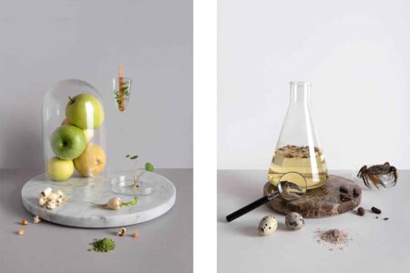 The Evolution of the Omnivore. The Eatelier. Food Design | the_eatelier evolution_of_the omnivore roomdiseno5