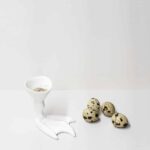 The Evolution of the Omnivorec | the_eatelier evolution_of_the omnivore roomdiseno9