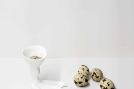 The Evolution of the Omnivorec | the_eatelier evolution_of_the omnivore roomdiseno9