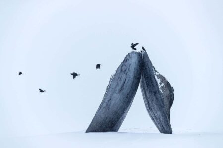 Tippet Rise. Fishtail, Montana. Ensemble Studio. Foto: Iwan Baan | tippet rise 17 02 3261
