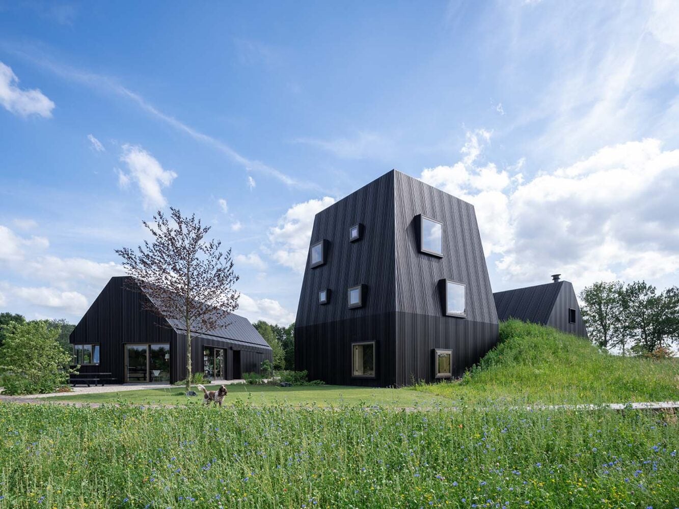 Villa Vught. Países Bajos. Foto: Ossip Architectuur Fotografie.