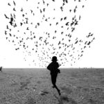 We Run, You Fly. Dimpy Bhalotia. Urban Photo Awards 2020 | we run you fly dimpy bhalotia in