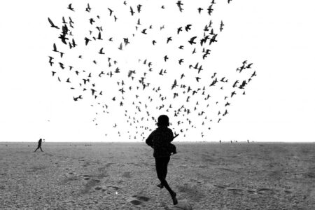 We Run, You Fly. Dimpy Bhalotia. Urban Photo Awards 2020 | we run you fly dimpy bhalotia in
