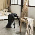 Wild Fibres Collection. Aurelie Hoegy | wild fibres collection aurelie hoegy roomdiseno2