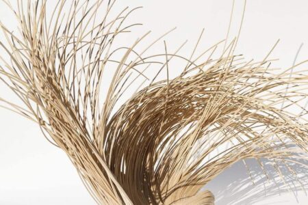 Wild Fibres. Aurelie Hoegy | wild_fibres aurelie_hoegy roomdiseno4