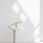 MODO Barcelona. Diseño mediterráneo en terrazoMODO Barcelona. Diseño mediterráneo en terrazo | modo_barcelona roomdiseno27
