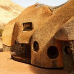 Nest. Porky Hefer | nest porky_hefer roomdiseno