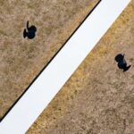 The Line. Paisajismo minimaliista. REGroup Architects | the line 2