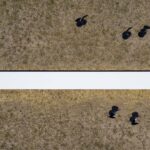 The Line. Paisajismo minimaliista. REGroup Architects | the line 9