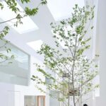 House N. Sou Fujimoto. Foto: Iwan Baan | house_n sou_fujimoto roomdiseno7